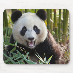Tapis De Souris Portrait de Panda Souriant