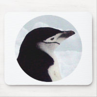 Portrait de pingouin de jugulaire