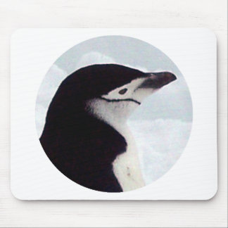 Tapis De Souris Portrait de pingouin de jugulaire