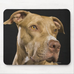 Tapis De Souris Portrait de pitbull rouge de nez avec le noir