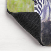 Tapis De Souris Portrait de Plains Zebra, Hluhluwe-Umfolozi Game (Coin)