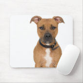 Tapis De Souris Portrait de studio américain pit bull puppy 3 (Avec souris)