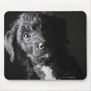 Tapis De Souris Portrait de studio de cric-un-griffonnage noir