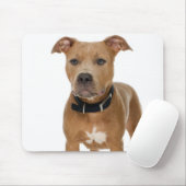 Tapis De Souris Portrait de studio du chiot américain pit bull (Avec souris)