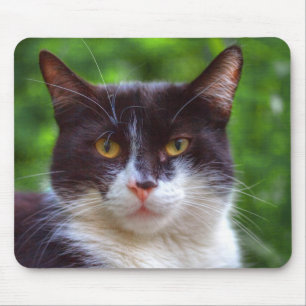 Tapis De Souris Portrait de Tuxedo