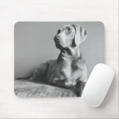 Tapis De Souris Portrait de Weimaraner (Avec souris)