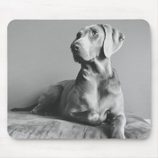 Tapis De Souris Portrait de Weimaraner (Devant)