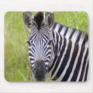 Tapis De Souris Portrait de zèbre des plaines, Hluhluwe-Umfolozi G