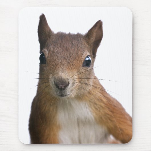 Tapis de souris portrait d'écureuil (Devant)