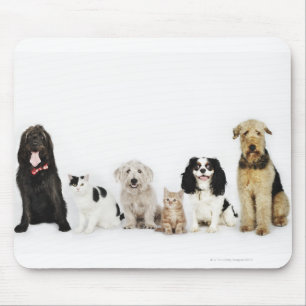 Tapis De Souris Portrait des chats et des chiens se reposant