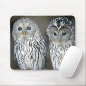 Tapis De Souris Portrait des chouettes (Avec souris)