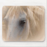 Tapis De Souris Portrait du cheval blanc<br><div class="desc">Belle image d'un portrait d'un cheval blanc aux yeux bruns doux. Cette image a une douce qualité magique de conte de fées. Idéal pour les amateurs de chevaux et d'équitation.</div>