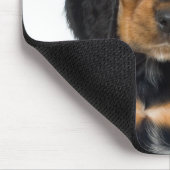 Tapis De Souris Portrait du studio du chiot Rottweiler (Coin)