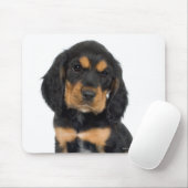 Tapis De Souris Portrait du studio du chiot Rottweiler (Avec souris)