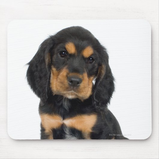 Tapis De Souris Portrait du studio du chiot Rottweiler (Devant)