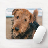 Tapis De Souris Portrait d'un Airedale Terrier (Avec souris)