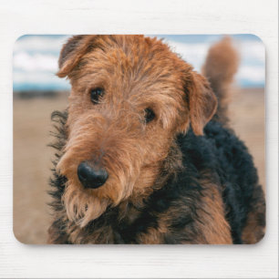 Tapis De Souris Portrait d'un Airedale Terrier