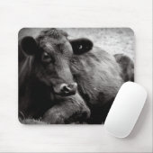 Tapis De Souris Portrait d'un Angus (Avec souris)