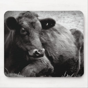 Tapis De Souris Portrait d'un Angus