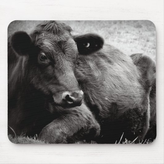 Tapis De Souris Portrait d'un Angus (Devant)