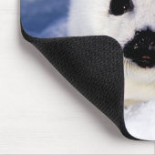 Tapis De Souris Portrait d'un bébé phoque à harpe (Coin)