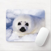 Tapis De Souris Portrait d'un bébé phoque à harpe (Avec souris)