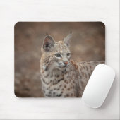 Tapis De Souris Portrait d'un Bobcat (Avec souris)