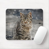 Tapis De Souris Portrait d'un chat (Avec souris)
