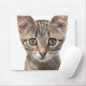 Tapis De Souris Portrait d'un chaton (Avec souris)