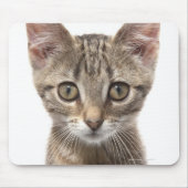Tapis De Souris Portrait d'un chaton (Devant)