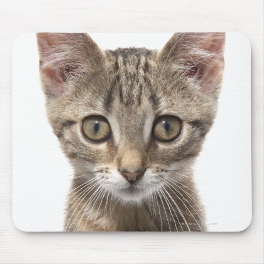Tapis De Souris Portrait d'un chaton (Devant)