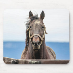 Tapis De Souris Portrait d'un cheval