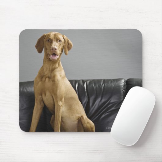 Tapis De Souris Portrait d'un chien (Avec souris)