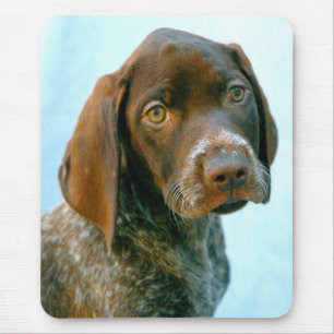 Tapis De Souris Portrait d'un chien