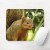 Tapis De Souris Portrait d'un écureuil Nature Animal Photographie (Avec souris)