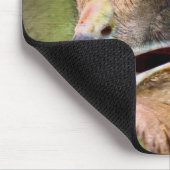 Tapis De Souris Portrait d'un faucon (Coin)