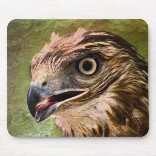 Tapis De Souris Portrait d'un faucon (Devant)
