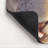Tapis De Souris Portrait d'un jeune lion mâle menté (Coin)