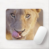 Tapis De Souris Portrait d'un jeune lion mâle menté (Avec souris)