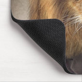 Tapis De Souris Portrait d'un lion (Coin)