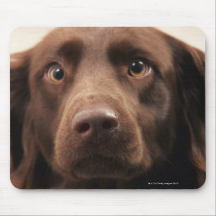 Tapis De Souris Portrait d'une jeune femelle appréhensive