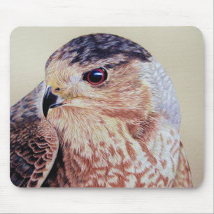 Tapis De Souris Portrait Hawk Coopers