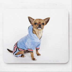 Tapis De Souris Portrait original d'un chiwawa 2 de tasse de thé
