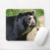 Tapis De Souris Portrait Ours andin (Avec souris)