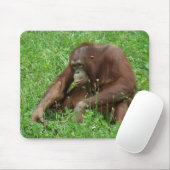 Tapis De Souris Portrait se reposant Mousepad d'orang-outan (Avec souris)