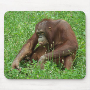 Tapis De Souris Portrait se reposant Mousepad d'orang-outan
