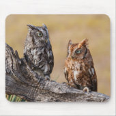 Tapis De Souris Pose de l'arbre à vis de l'est (Devant)