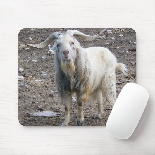 Tapis De Souris Position blanche de chèvre (Avec souris)