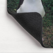 Tapis De Souris Position d'albatros de Laysan (Coin)