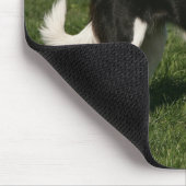 Tapis De Souris Position de border collie (Coin)